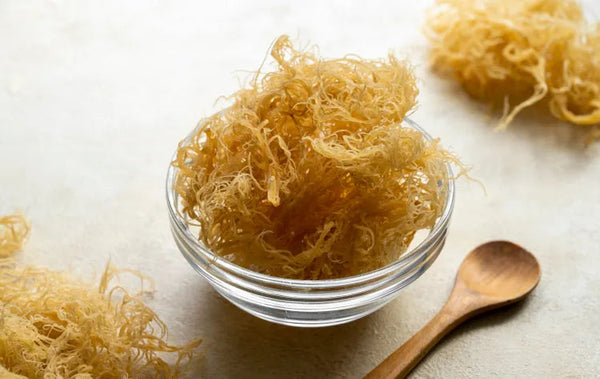 Discover the Benefits of Sea Moss Gummies